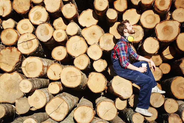 Gefällte Baumstämme - #Branche1# Hintergrund Gefällte Baumstämme - #Branche1# Hintergrund